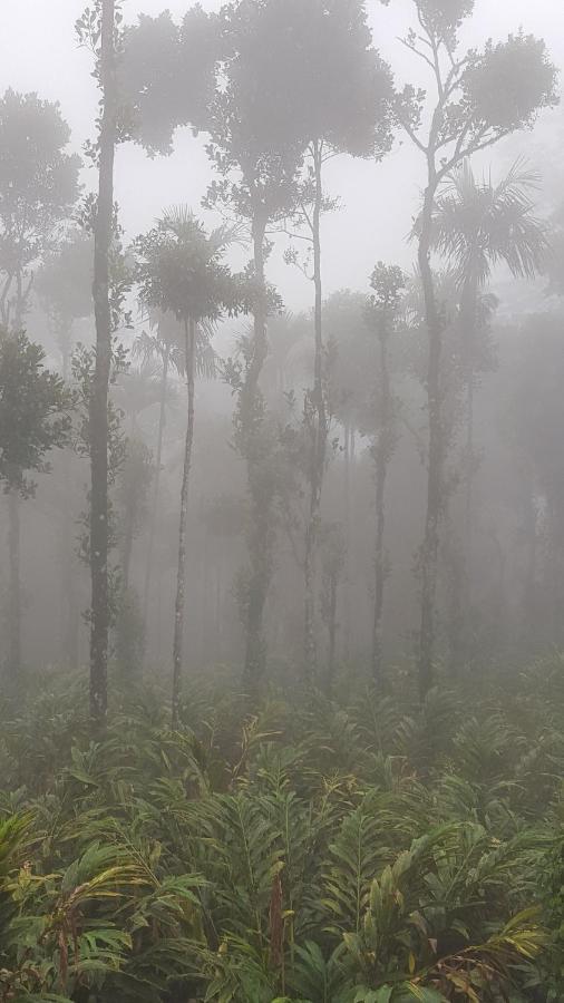 Hotel Tree Blanche Munnar Exterior foto